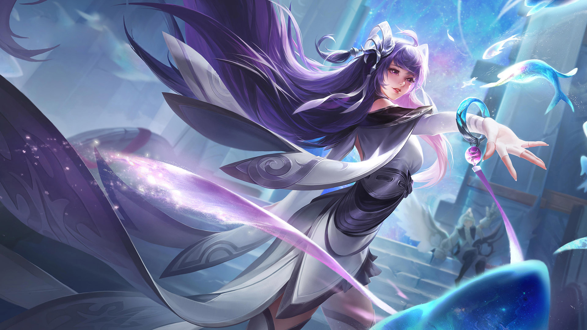 会在公开场 会在公开场