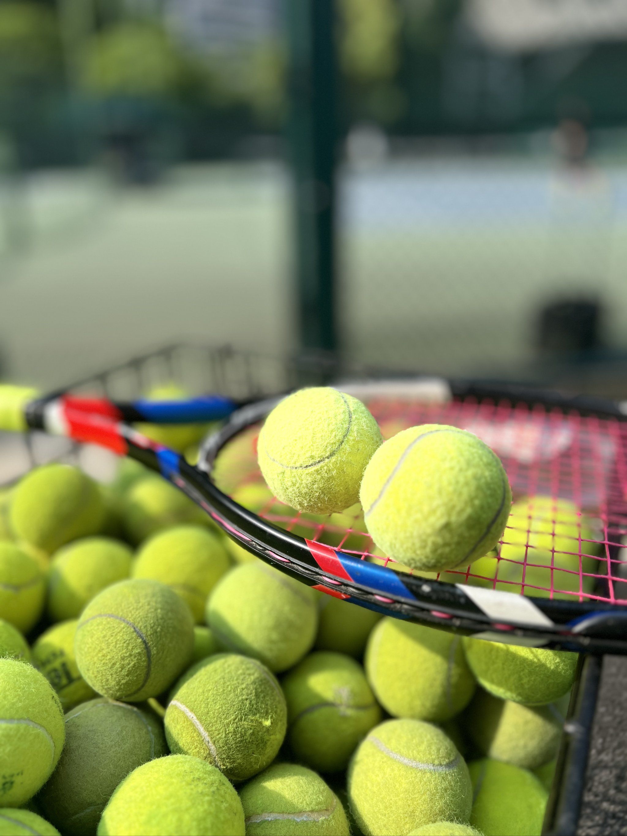 老帅在意甲 老帅在意甲